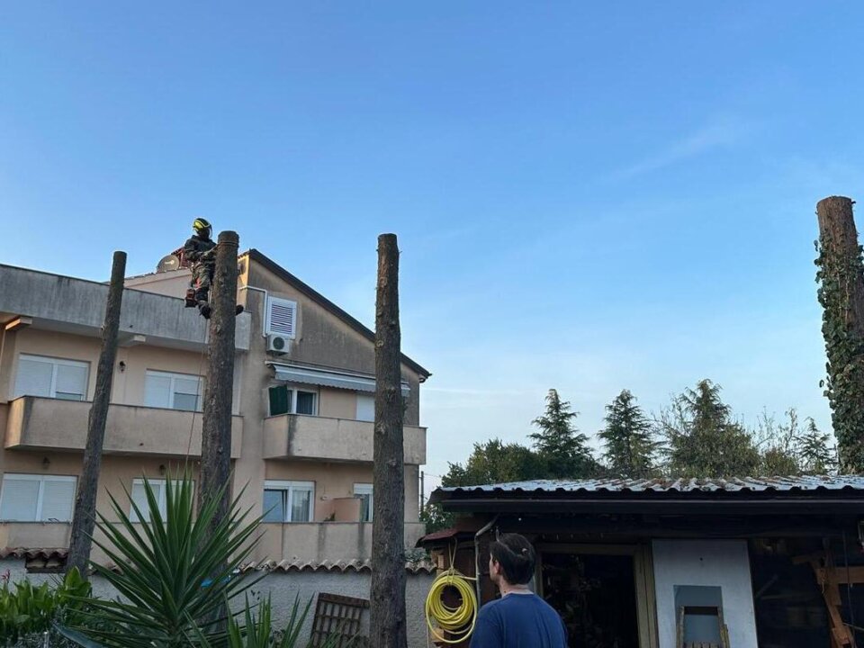 Baumpfleger in Seilklettertechnik auf einem hohen Baumstumpf neben einem Mehrfamilienhaus bei einer Baumfällung in München.