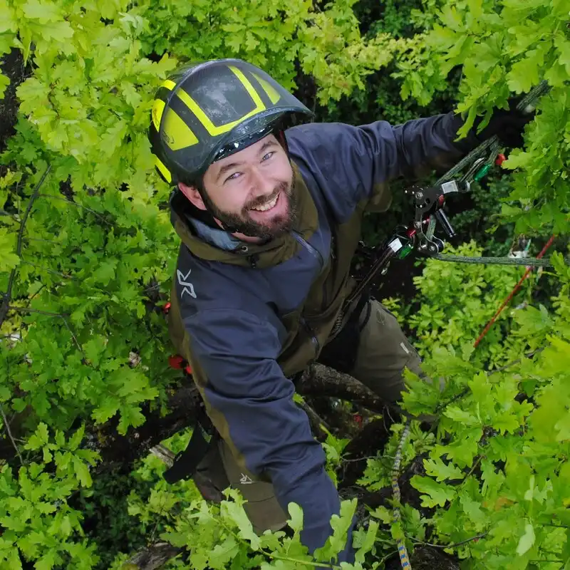 Portrait von Adrian Winterbauer, Gründer von Planbaum, bei der professionellen Baumpflege in München.