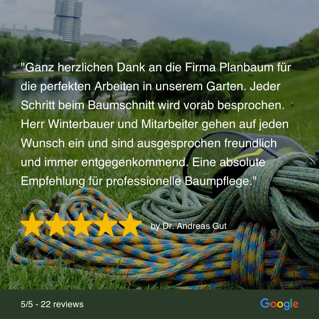 Fünf-Sterne-Bewertung für Planbaum Baumpflege in Starnberg von Dr. Andreas Gut: "Eine absolute Empfehlung".